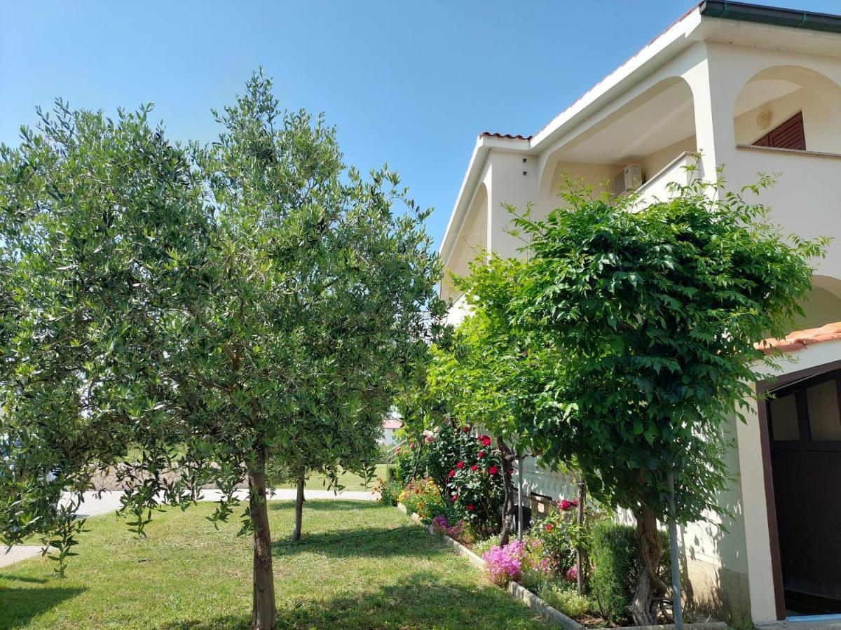 Apartments Vlasici Ngoại thất bức ảnh
